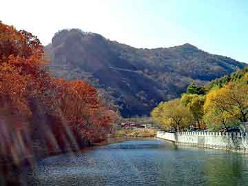 新澳天天开奖资料大全旅游团，寄生虫站群